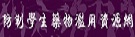 防治藥物濫用資源網